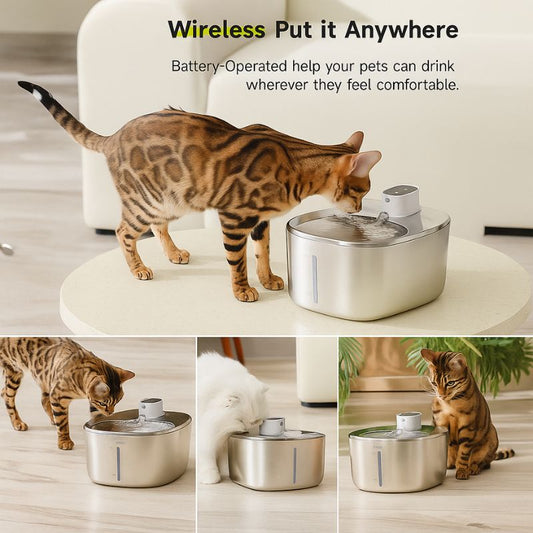 AquaPaw Wireless Water Fountain
