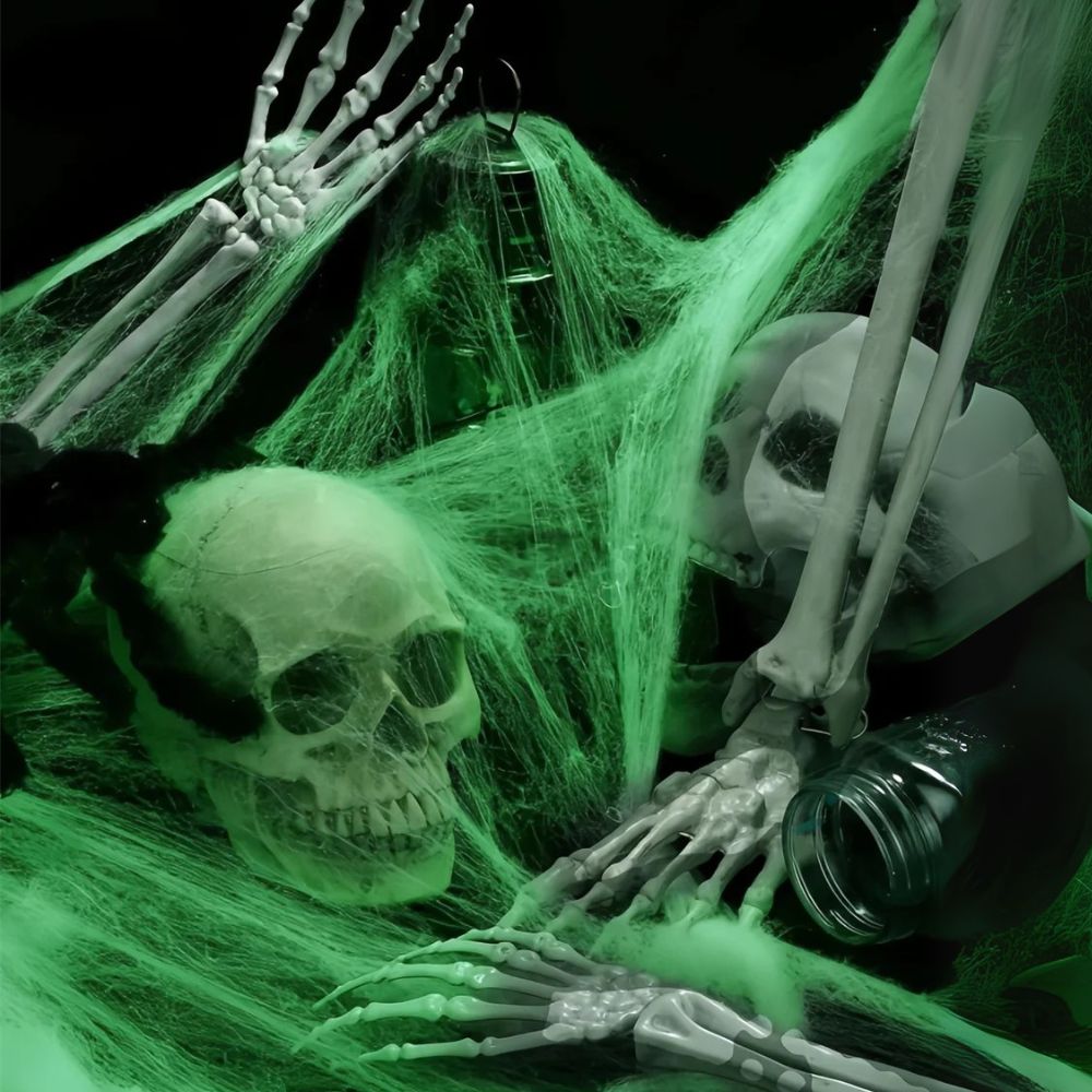 Glow in the Dark Spider Web