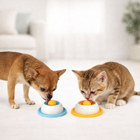 PawTreat Lick Mat