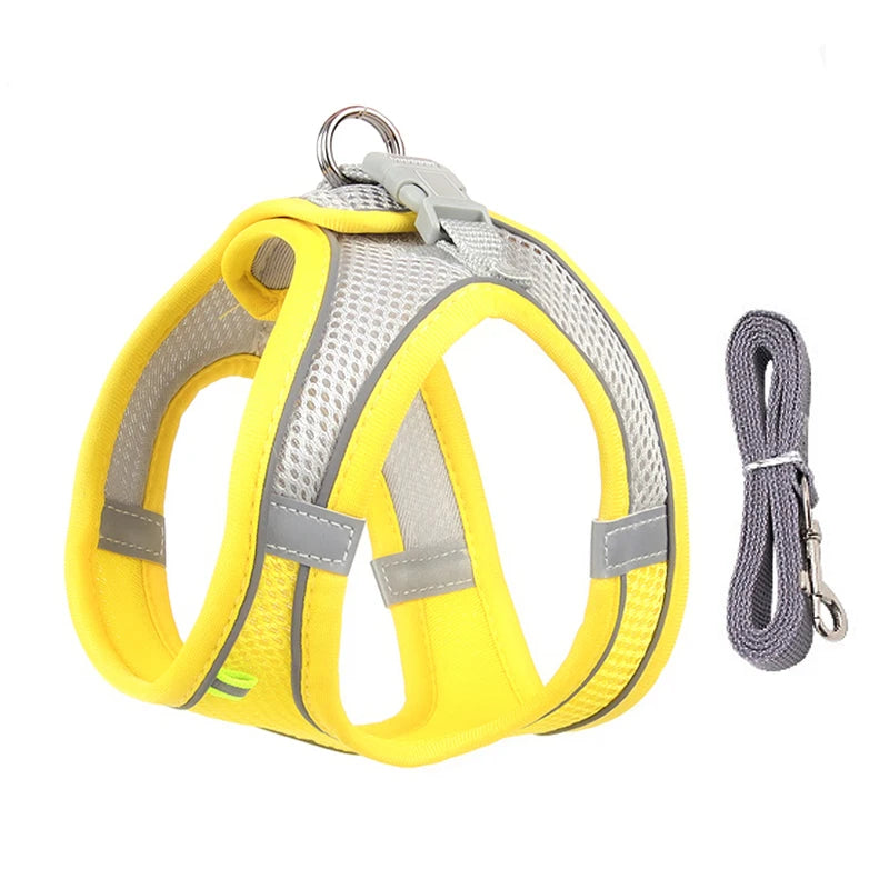 Everyday Walk Pet Harness
