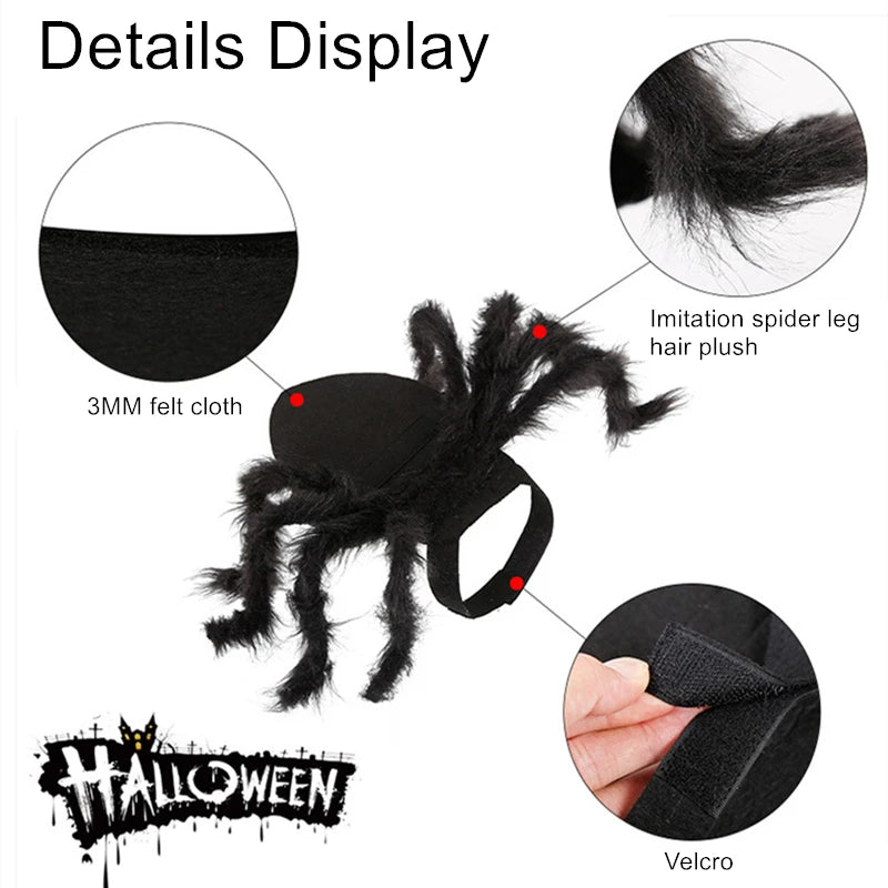 Funny Pet Spider Costume