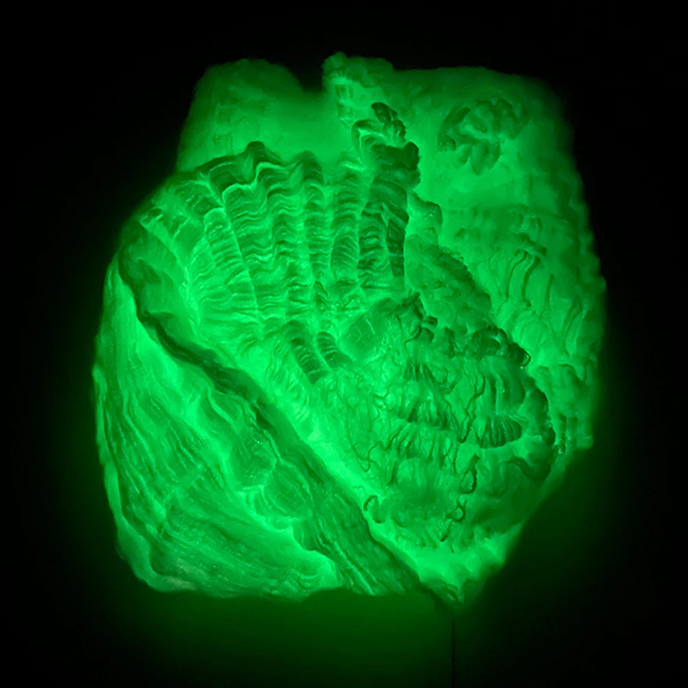 Glow in the Dark Spider Web