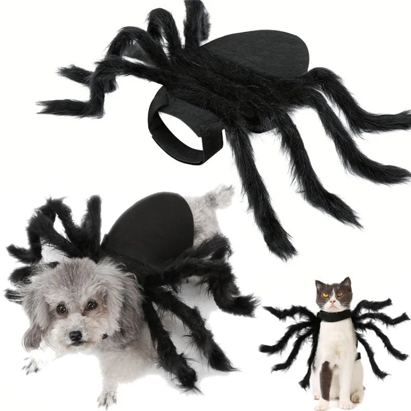 Funny Pet Spider Costume