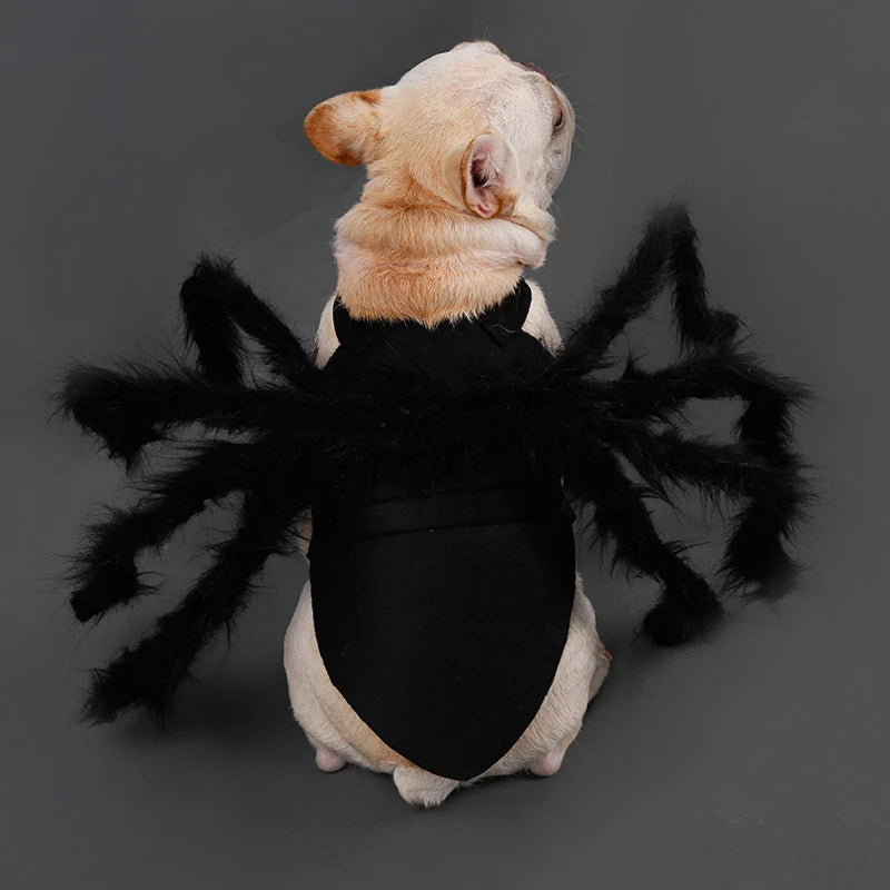 Funny Pet Spider Costume