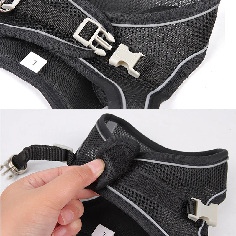 Everyday Walk Pet Harness