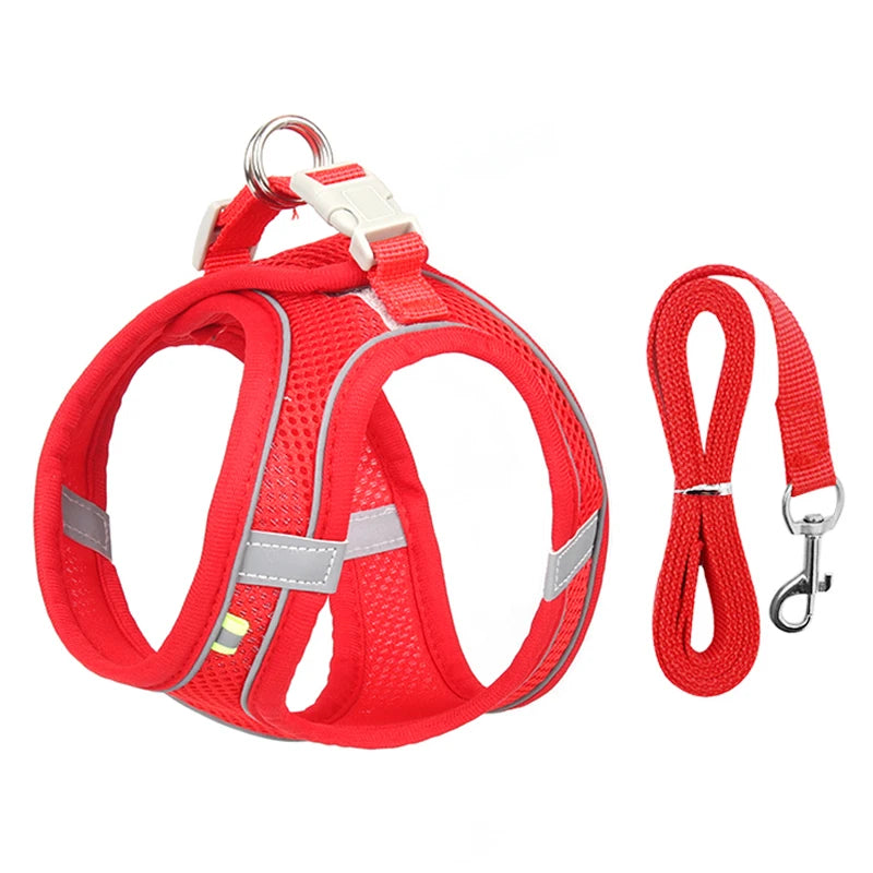 Everyday Walk Pet Harness