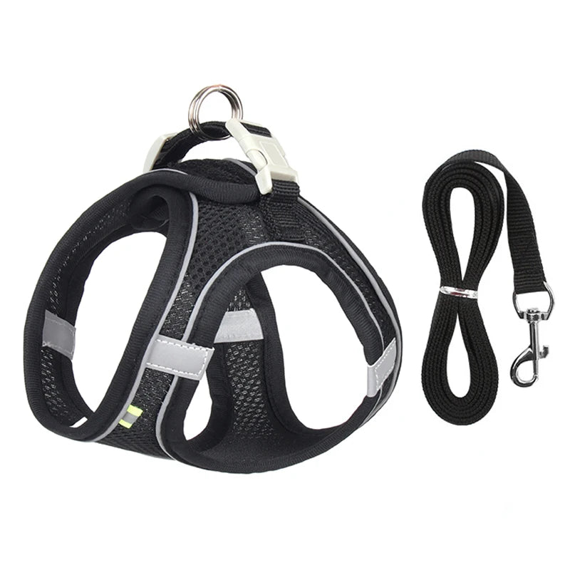 Everyday Walk Pet Harness