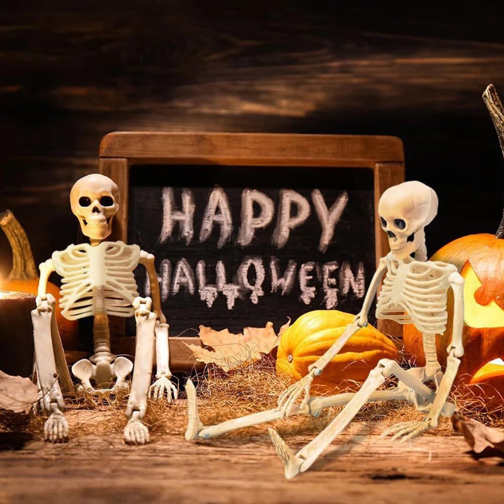 Posable Human Skeleton
