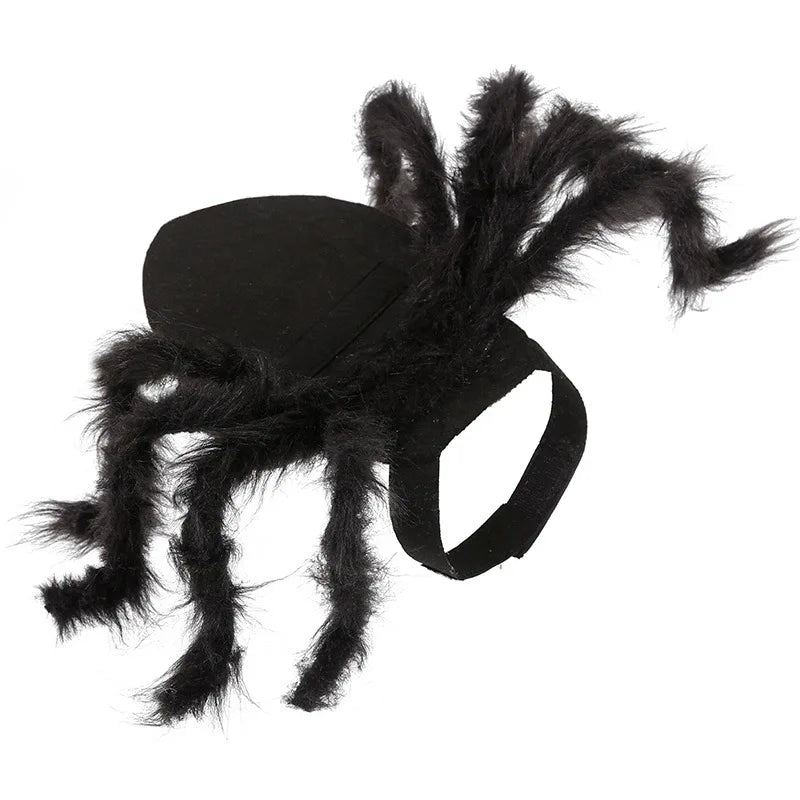 Funny Pet Spider Costume