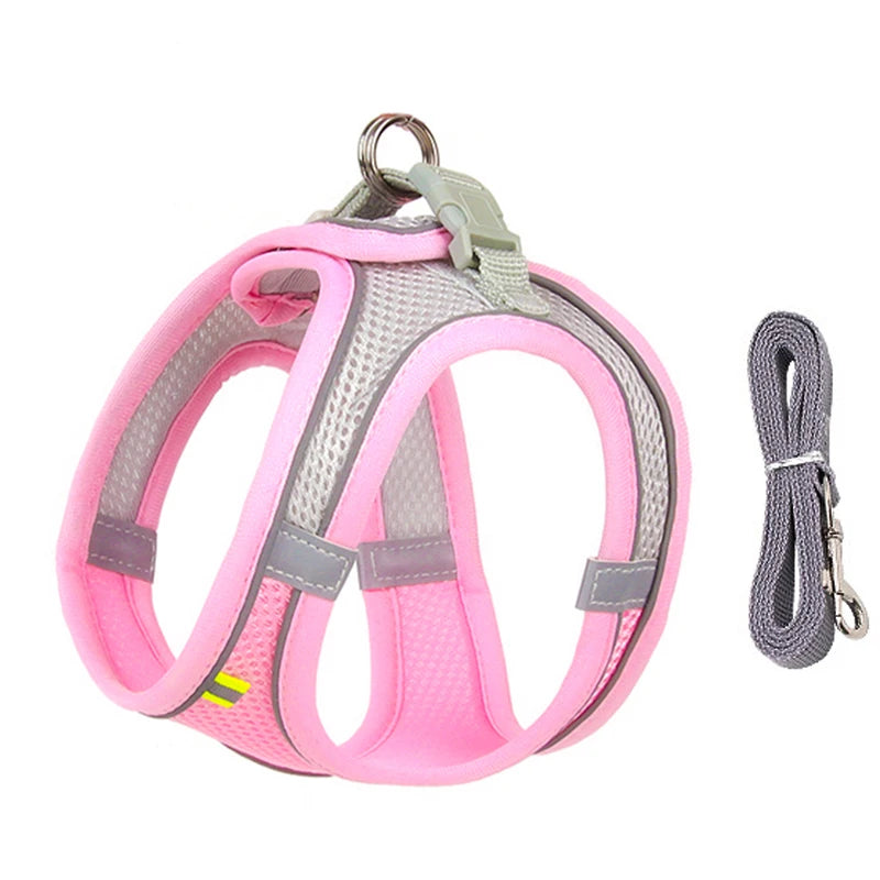 Everyday Walk Pet Harness