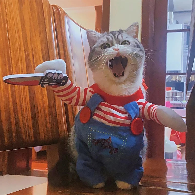 Funny Halloween Pet Costume