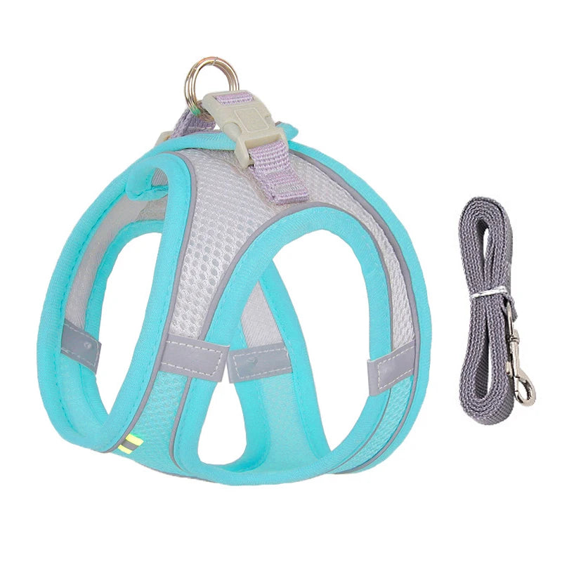 Everyday Walk Pet Harness