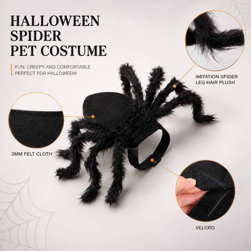 Shadow Crawler Spider Costume for Pets