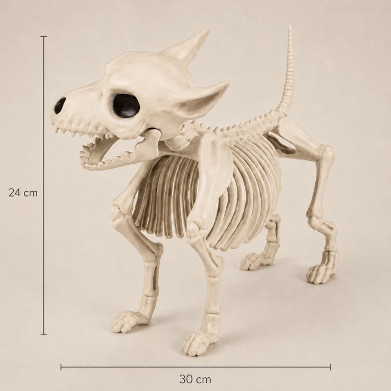 Midnight Relics Realistic Animal Skeleton Décor