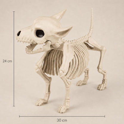 Midnight Relics Realistic Animal Skeleton Décor