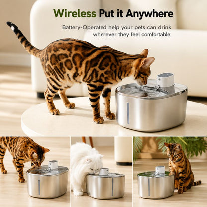 AquaPaw Wireless Water Fountain
