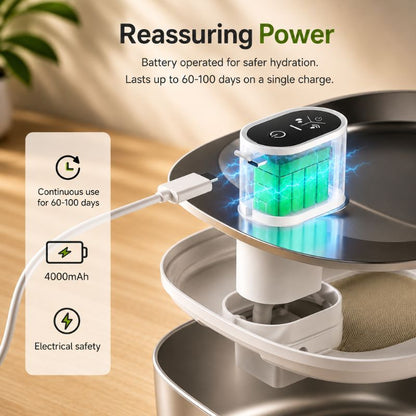 AquaPaw Wireless Water Fountain