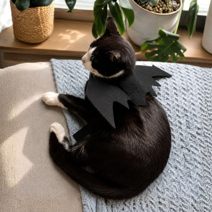 Midnight Wings Bat Costume for Pets