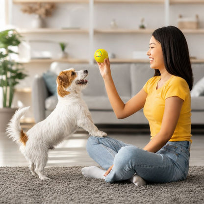 BouncePaws Smart Ball