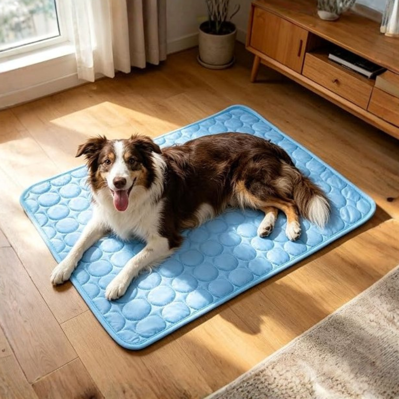 CoolPaw Summer Cooling Mat