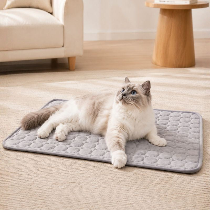 CoolPaw Summer Cooling Mat