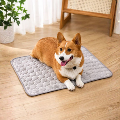 CoolPaw Summer Cooling Mat