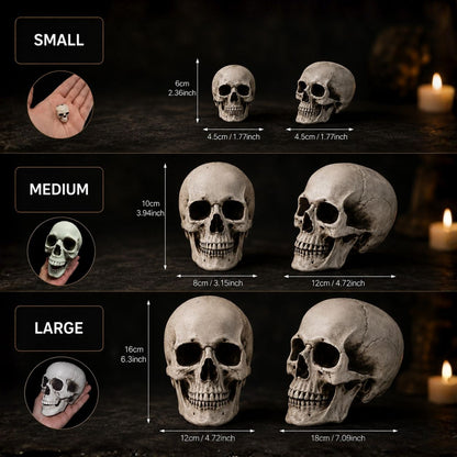 Midnight Relic Realistic Skull Decoration