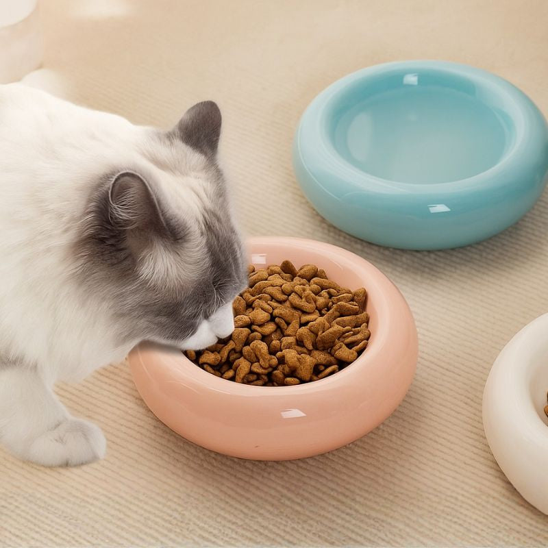 DonutPaw Ceramic Cat Bowl