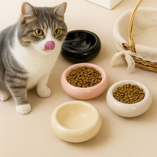 DonutPaw Ceramic Cat Bowl