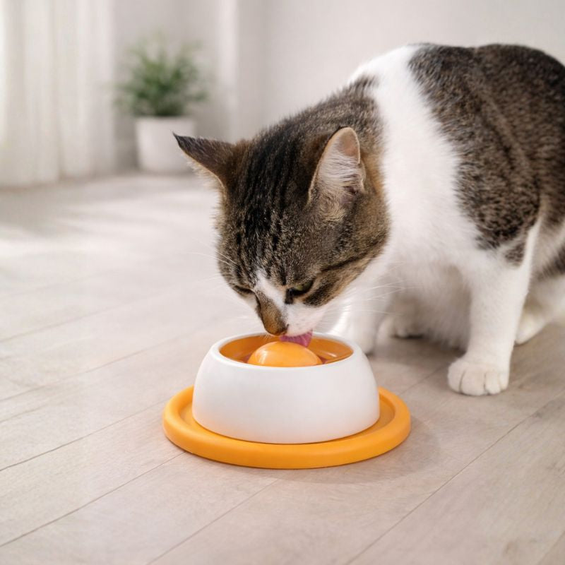 PawTreat Lick Mat