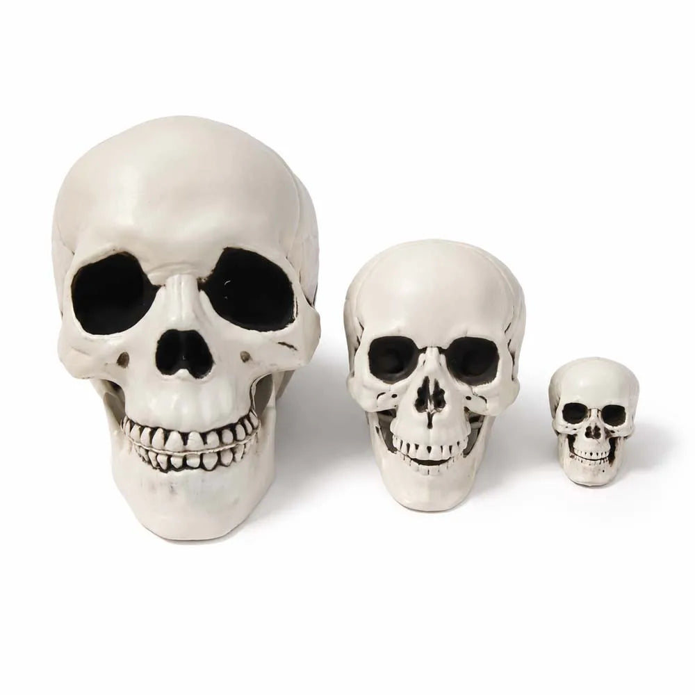Midnight Relic Realistic Skull Decoration