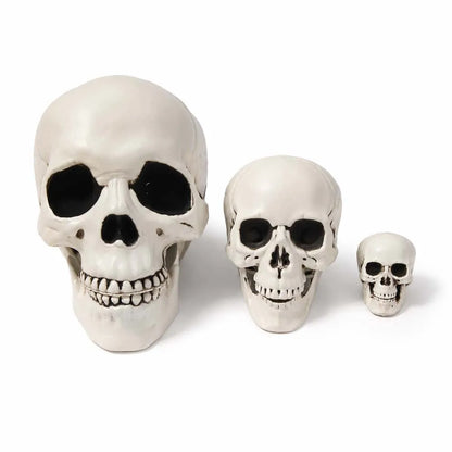 Midnight Relic Realistic Skull Decoration