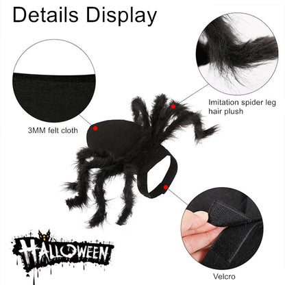 Funny Pet Spider Costume
