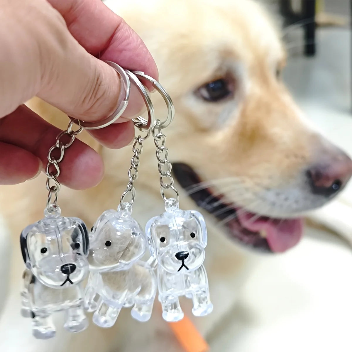 PawMemory Keychain with Memorial Pendant