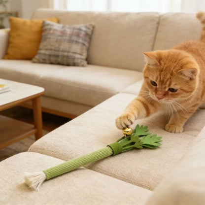 FreshBite Catnip Dental Chew Toy for Cats
