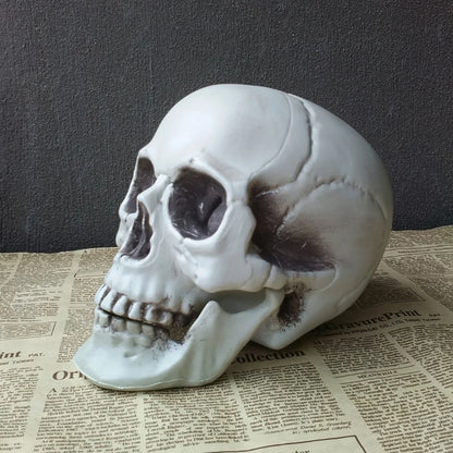 Midnight Relic Realistic Skull Decoration