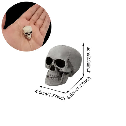 Midnight Relic Realistic Skull Decoration
