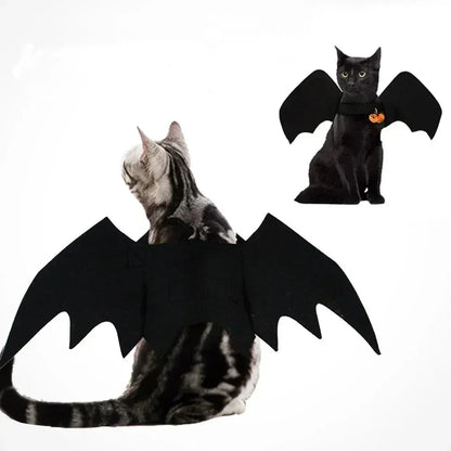 Flying Bat Pet Wings