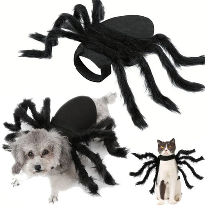 Funny Pet Spider Costume
