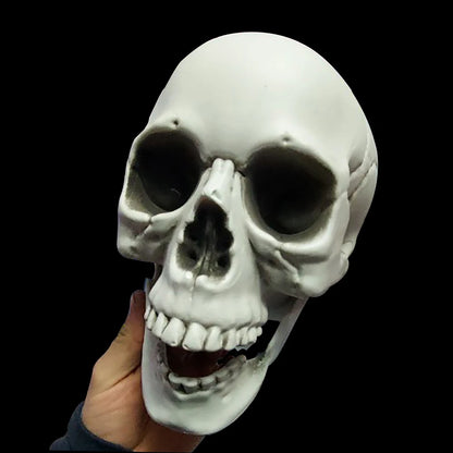 Midnight Relic Realistic Skull Decoration