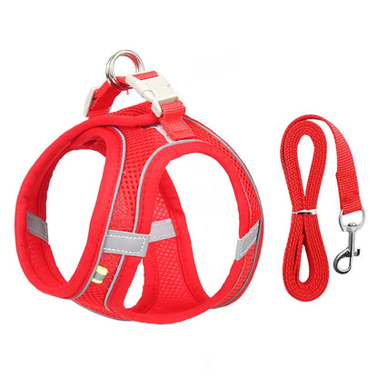 Everyday Walk Pet Harness