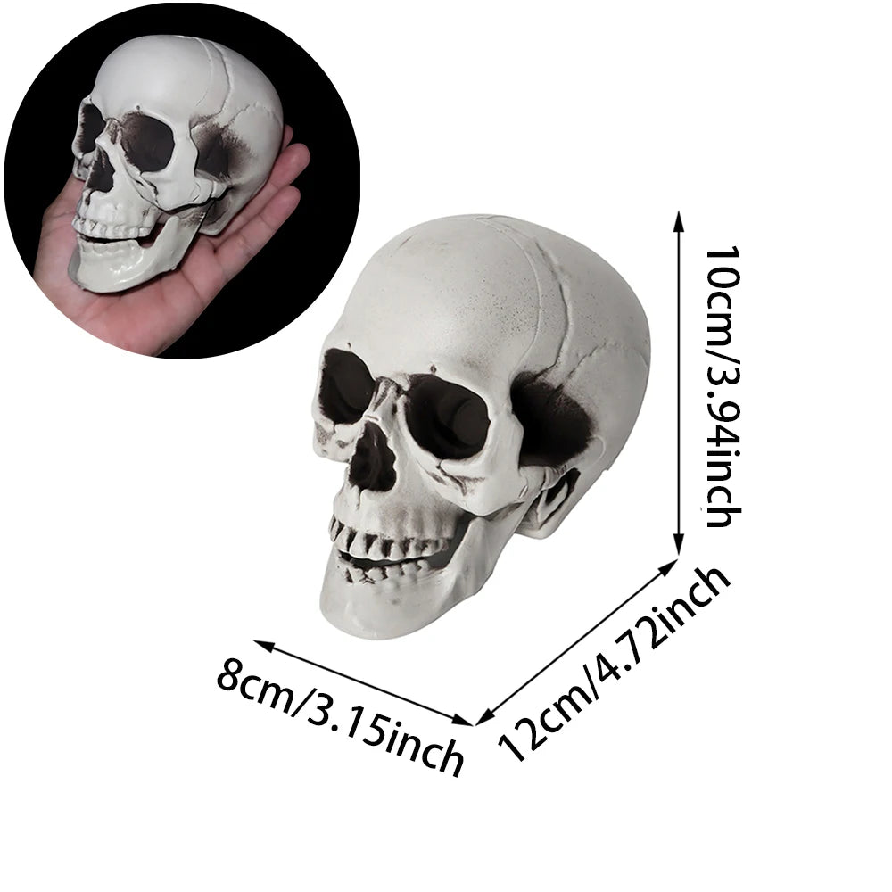 Midnight Relic Realistic Skull Decoration