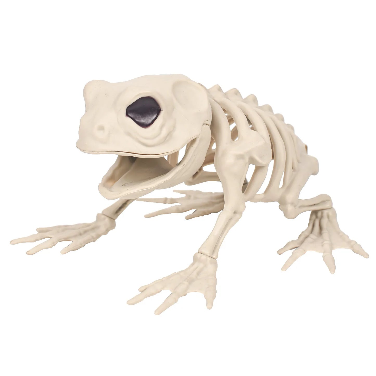 Midnight Relics Realistic Animal Skeleton Décor