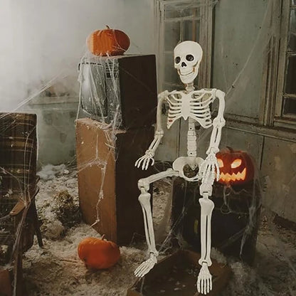 Posable Human Skeleton