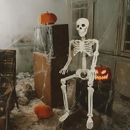 Posable Human Skeleton