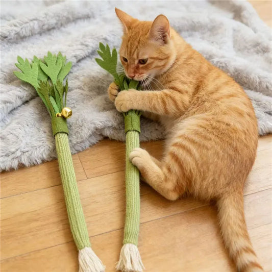 FreshBite Catnip Dental Chew Toy for Cats