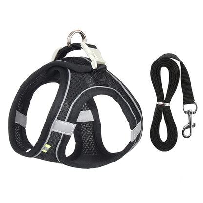 Everyday Walk Pet Harness