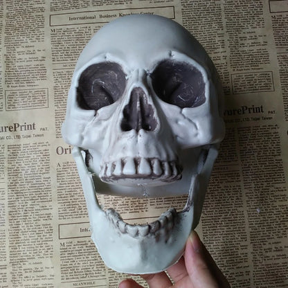 Midnight Relic Realistic Skull Decoration