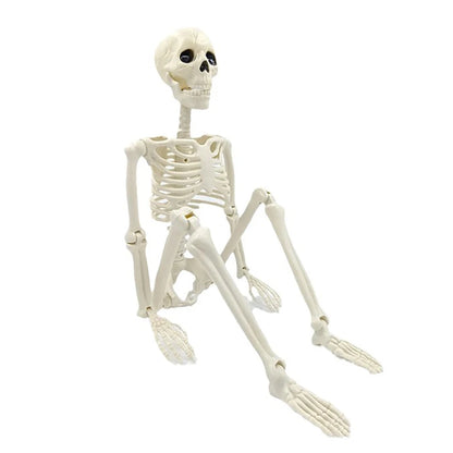 Posable Human Skeleton