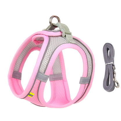 Everyday Walk Pet Harness